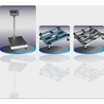 Cân Hải Sản, Can Hai San - image4